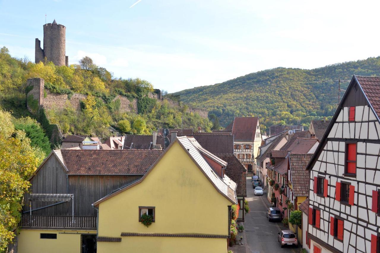 Gite Les Oiseaux Kaysersberg-Vignoble Exterior photo